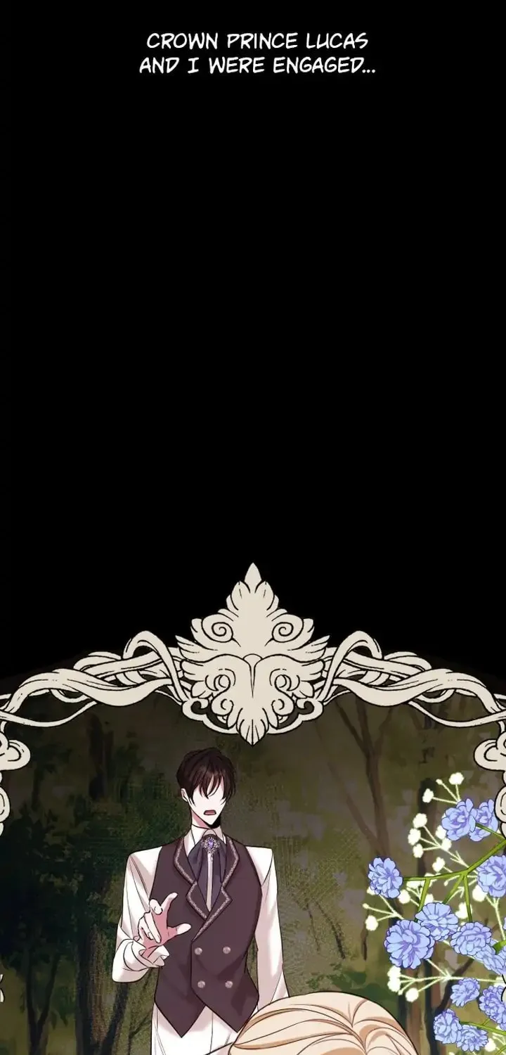 Read A Marriage Alliance for Revenge EN Manga Online