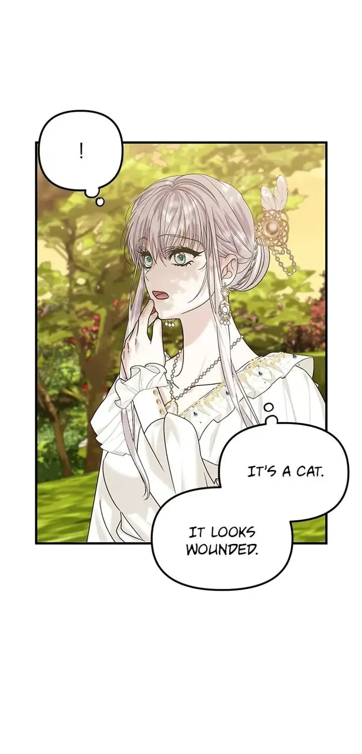 Read A Marriage Alliance for Revenge EN Manga Online
