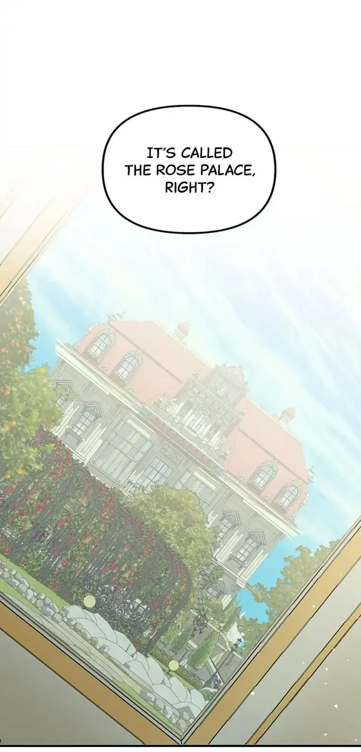 Read A Marriage Alliance for Revenge EN Manga Online