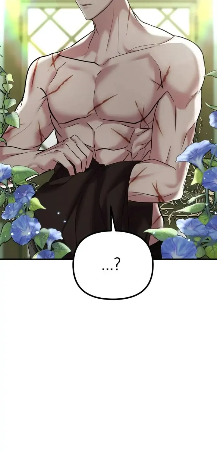 Read A Marriage Alliance for Revenge EN Manga Online