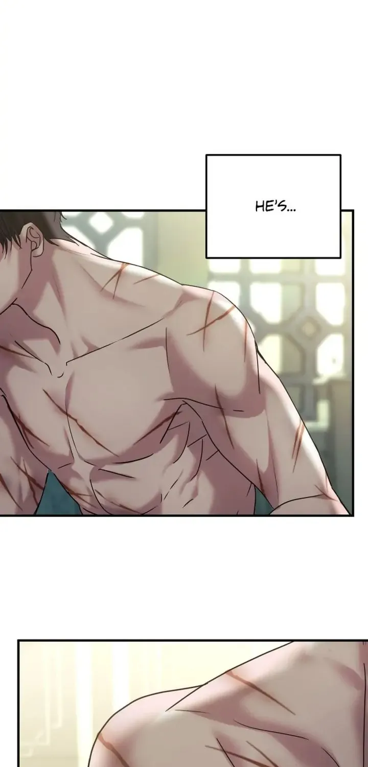 Read A Marriage Alliance for Revenge EN Manga Online