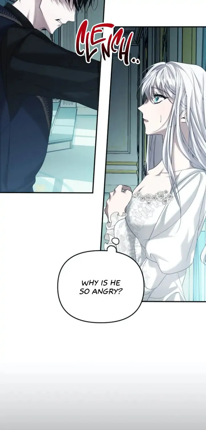 Read A Marriage Alliance for Revenge EN Manga Online