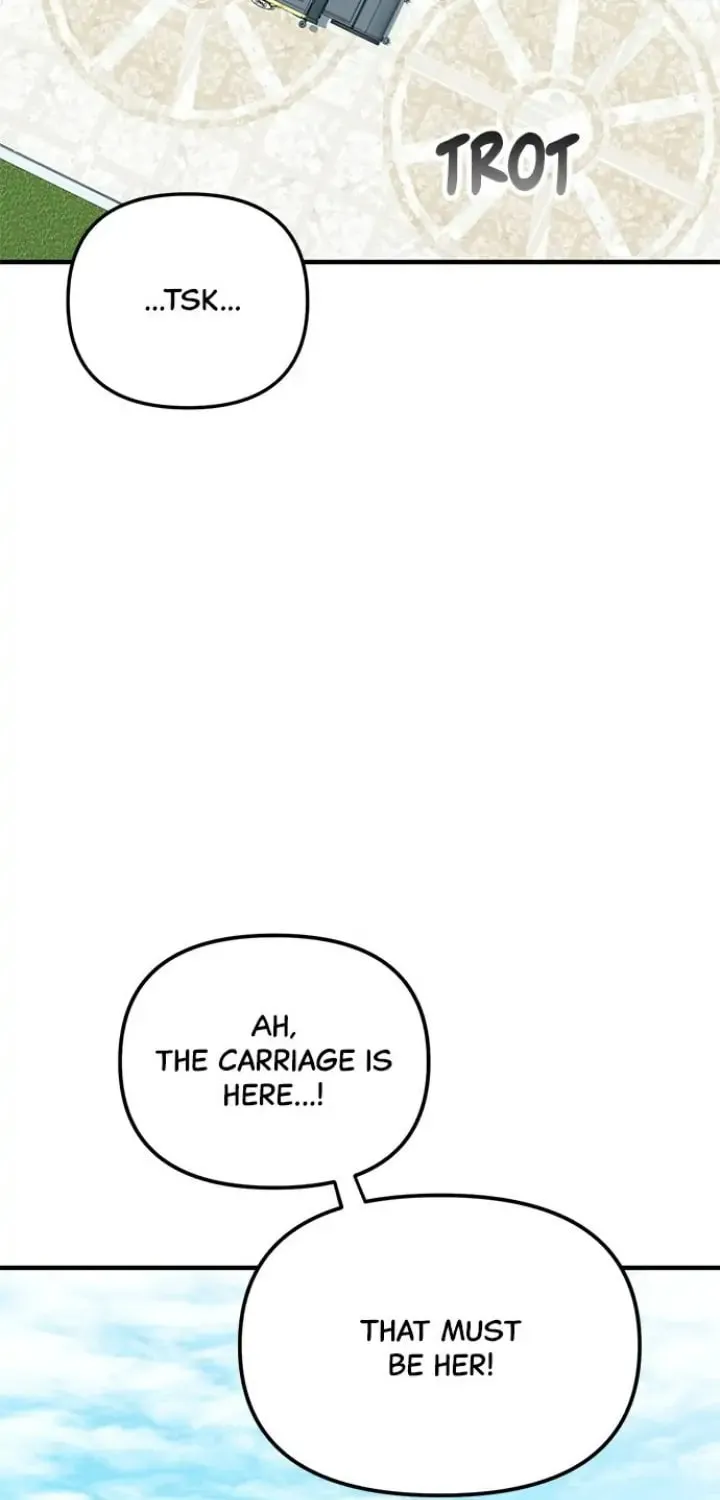 Read A Marriage Alliance for Revenge EN Manga Online