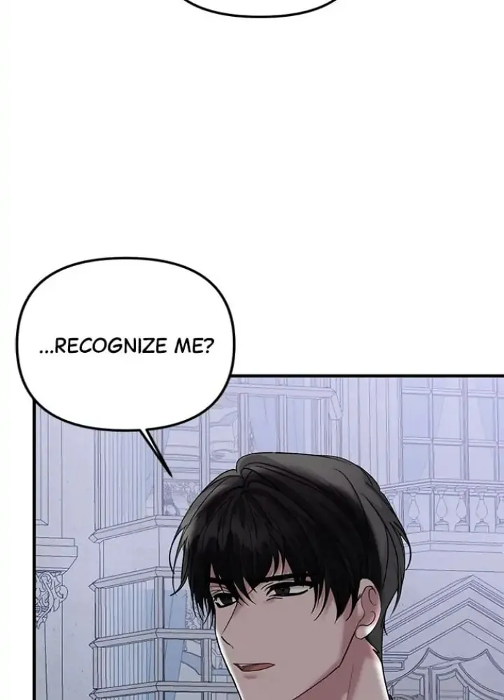 Read A Marriage Alliance for Revenge EN Manga Online