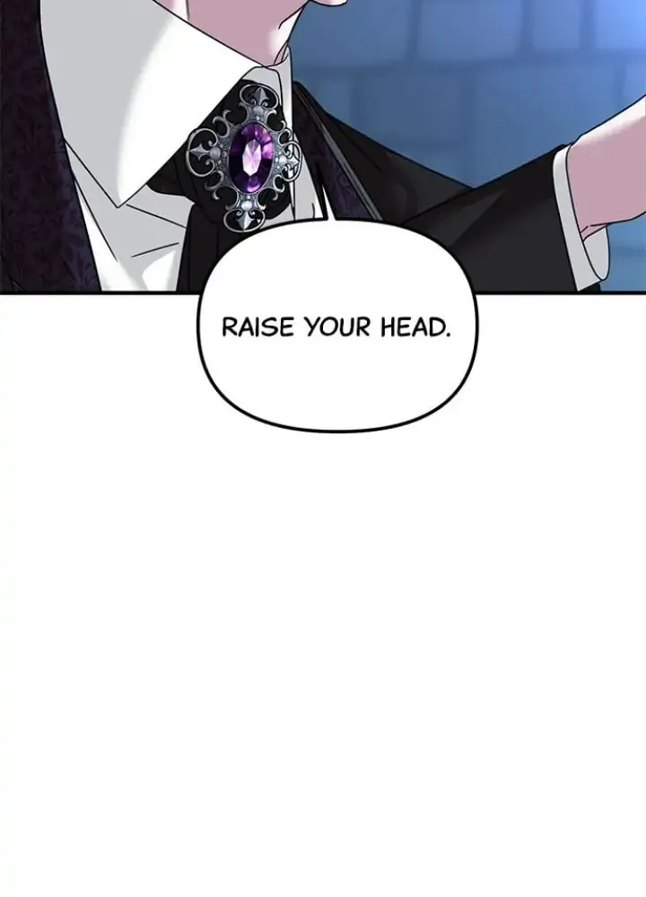 Read A Marriage Alliance for Revenge EN Manga Online