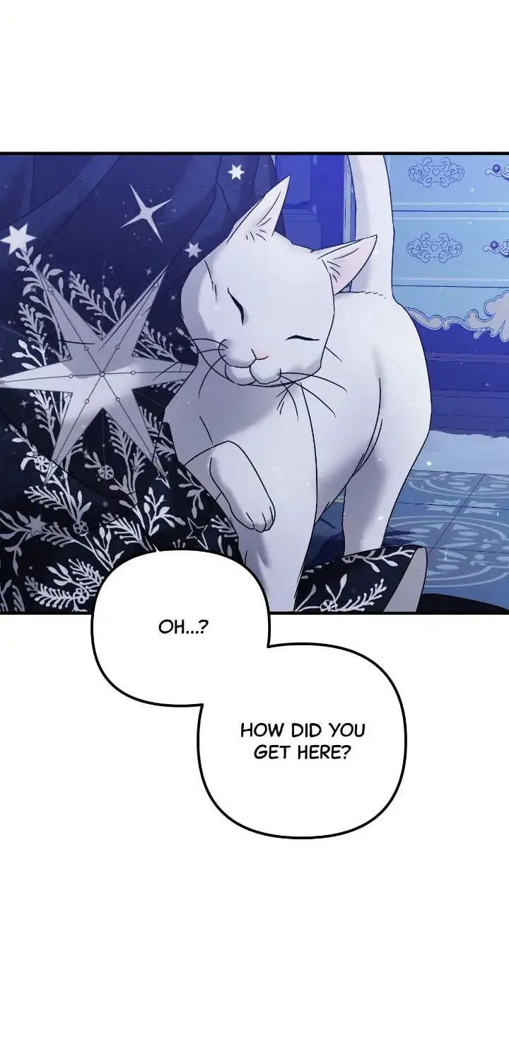 Read A Marriage Alliance for Revenge EN Manga Online