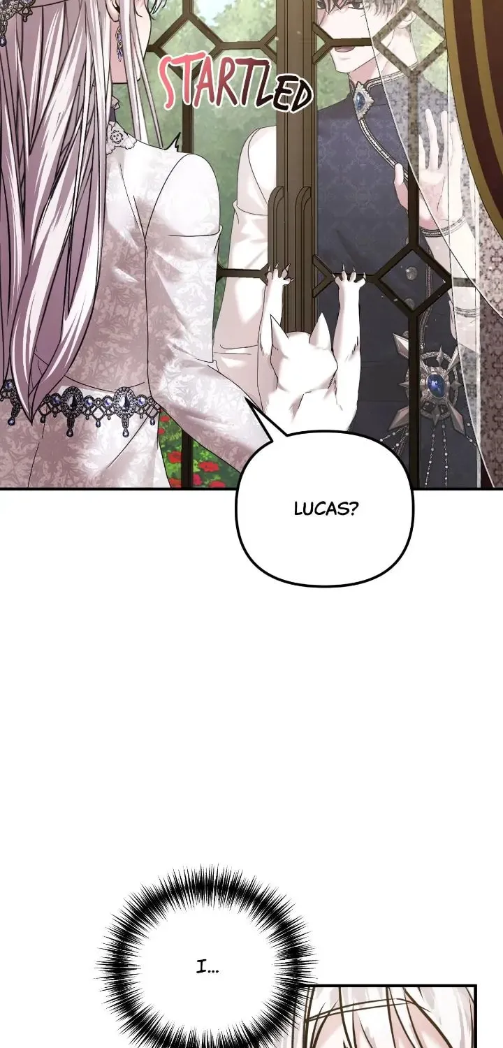 Read A Marriage Alliance for Revenge EN Manga Online