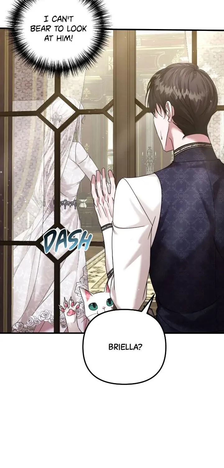 Read A Marriage Alliance for Revenge EN Manga Online