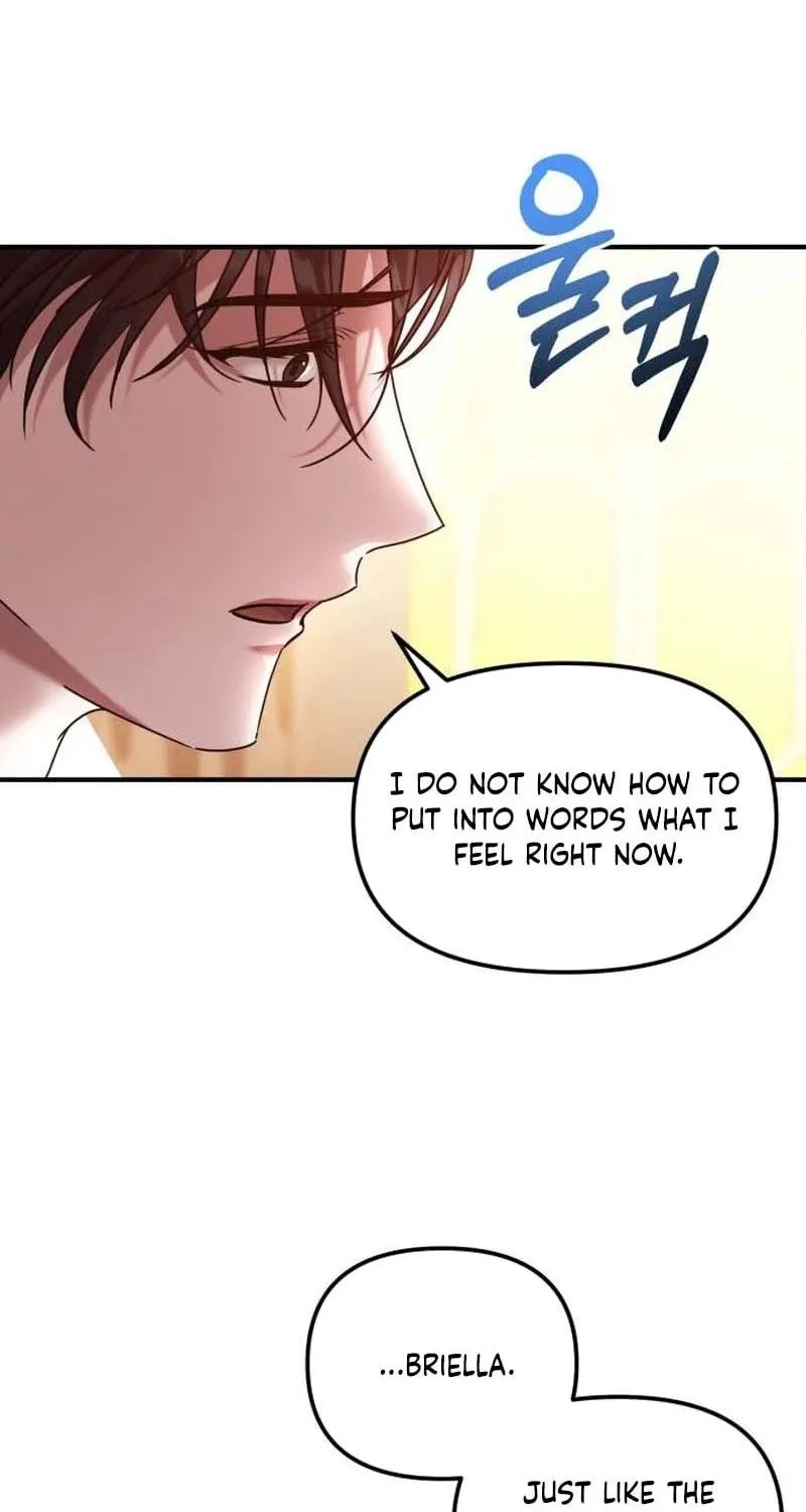 Read A Marriage Alliance for Revenge EN Manga Online
