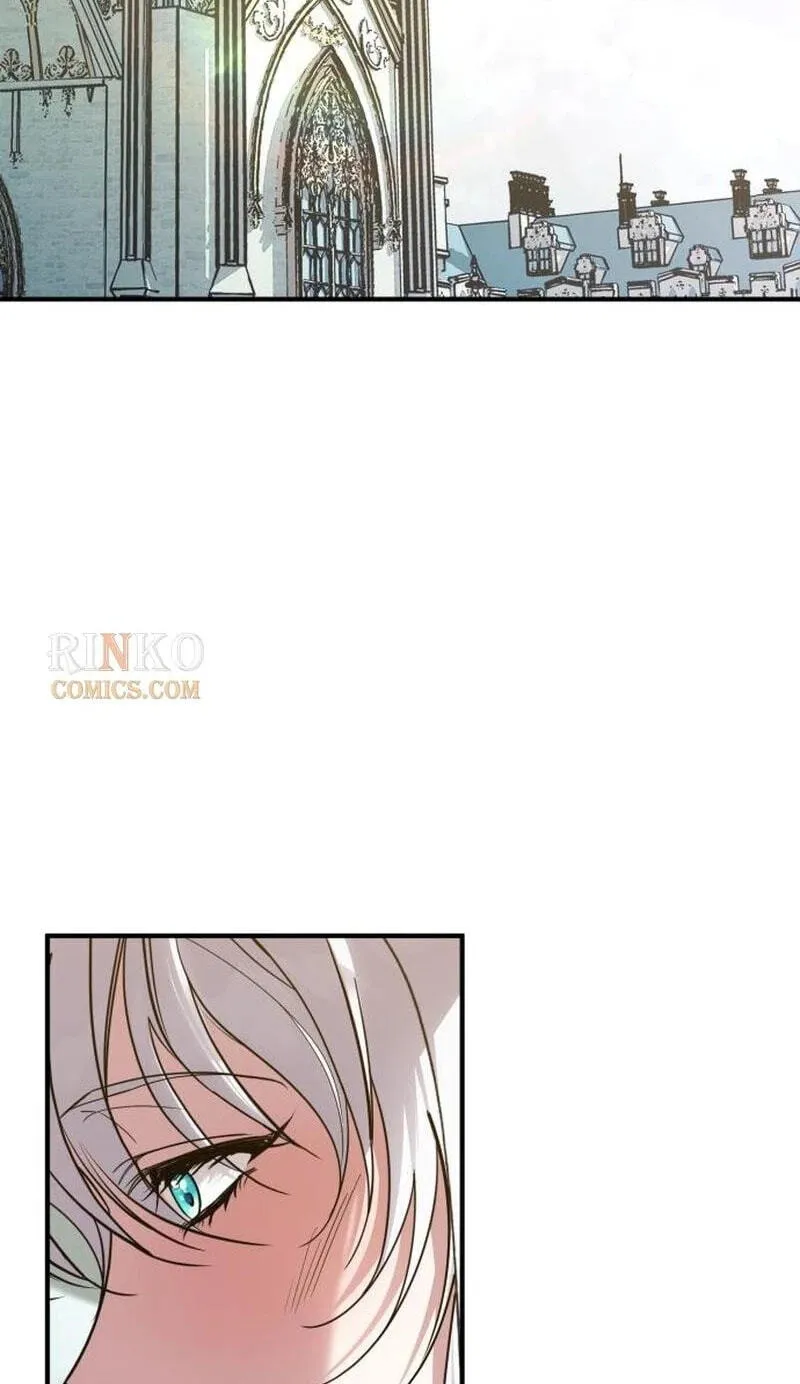 Read A Marriage Alliance for Revenge EN Manga Online