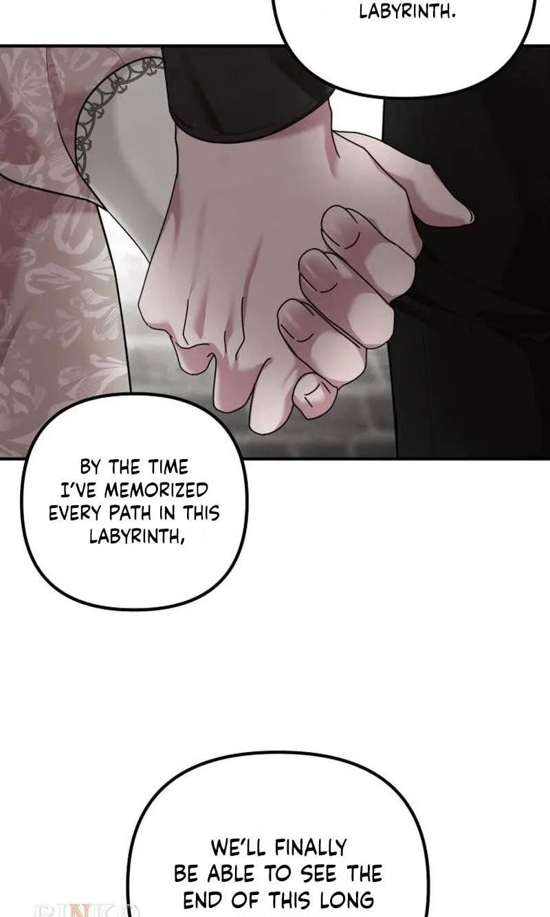 Read A Marriage Alliance for Revenge EN Manga Online