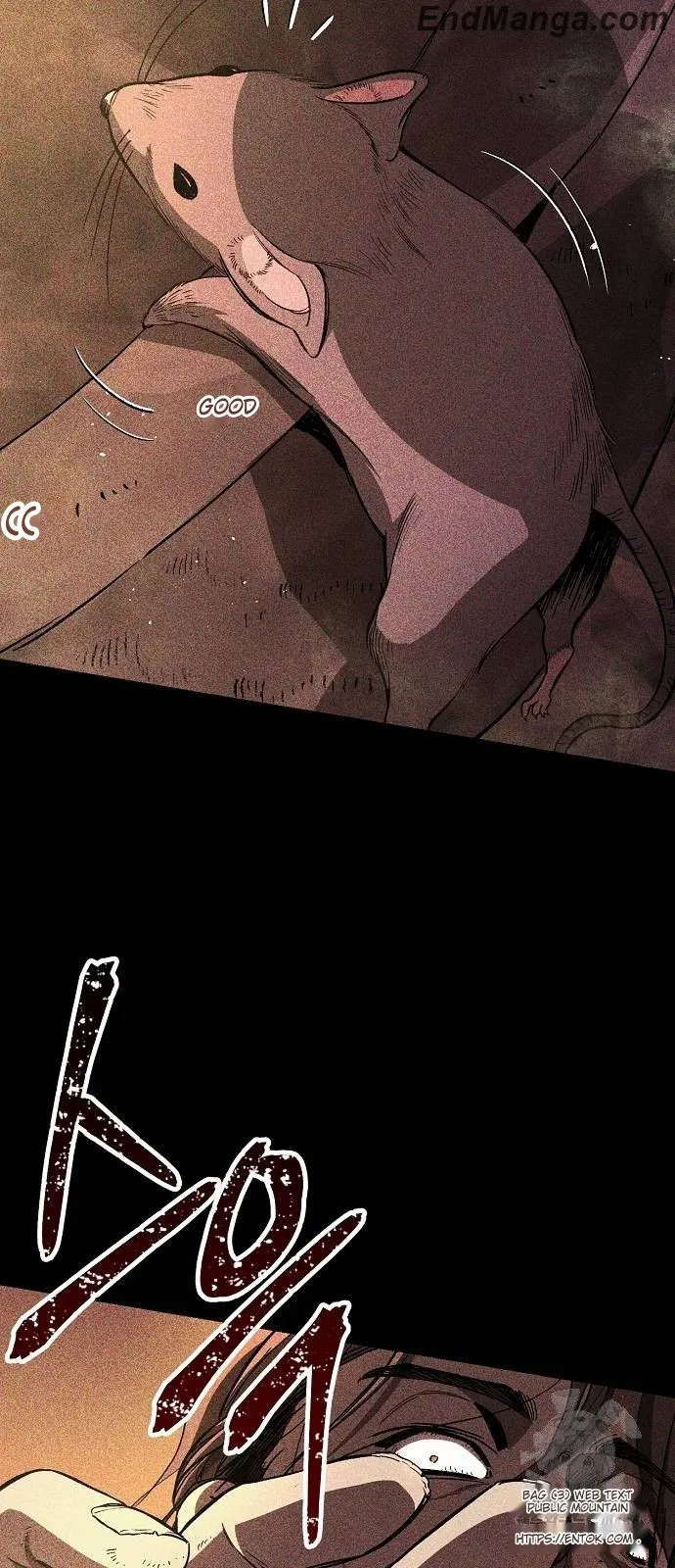 Read A Rogue Guard in a Medieval Fantasy EN Manga Online