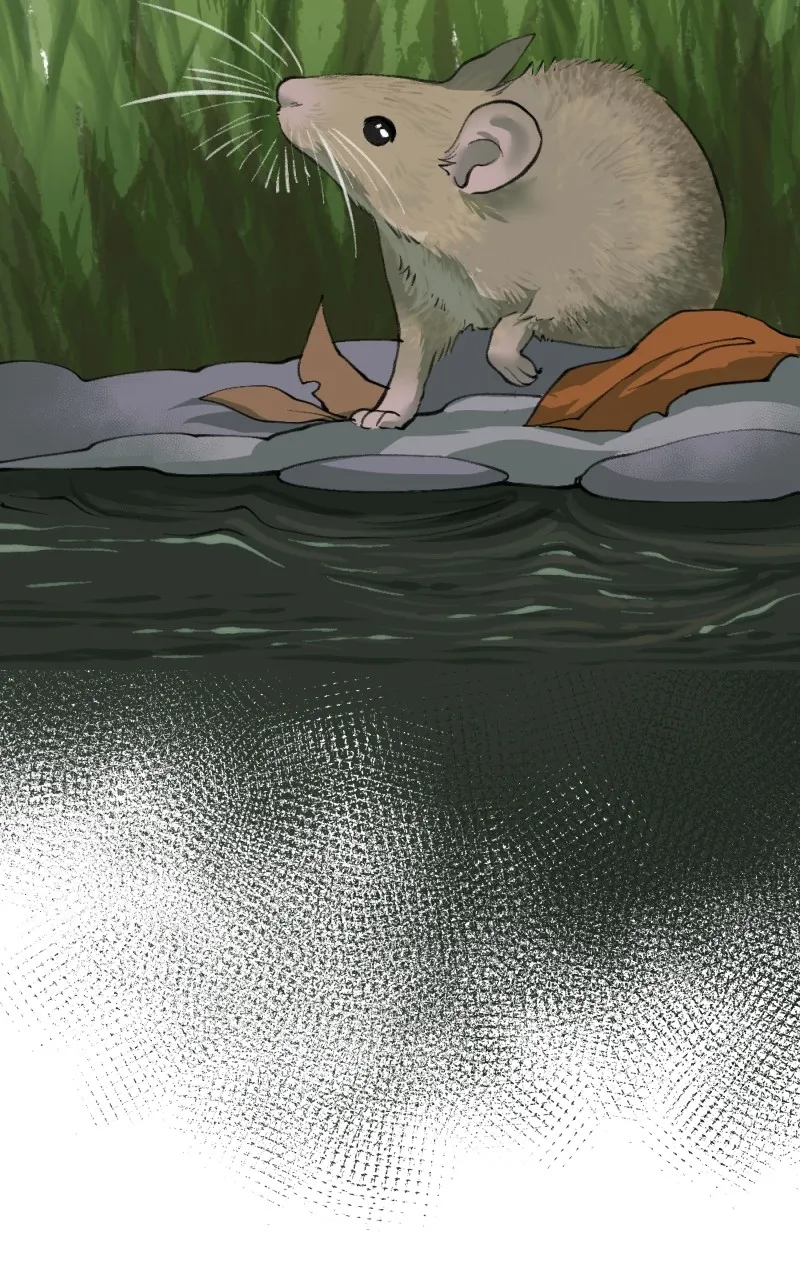 Read A Spell for a Smith EN Manga Online
