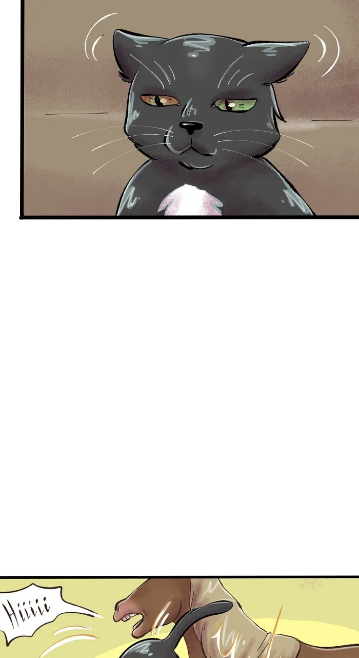 Read Acception EN Manga Online