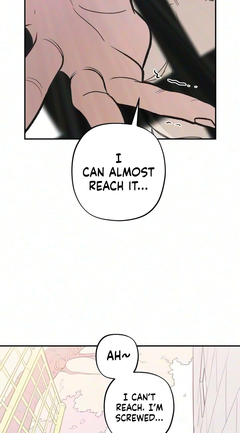 Read Aching Manhwa EN Manga Online