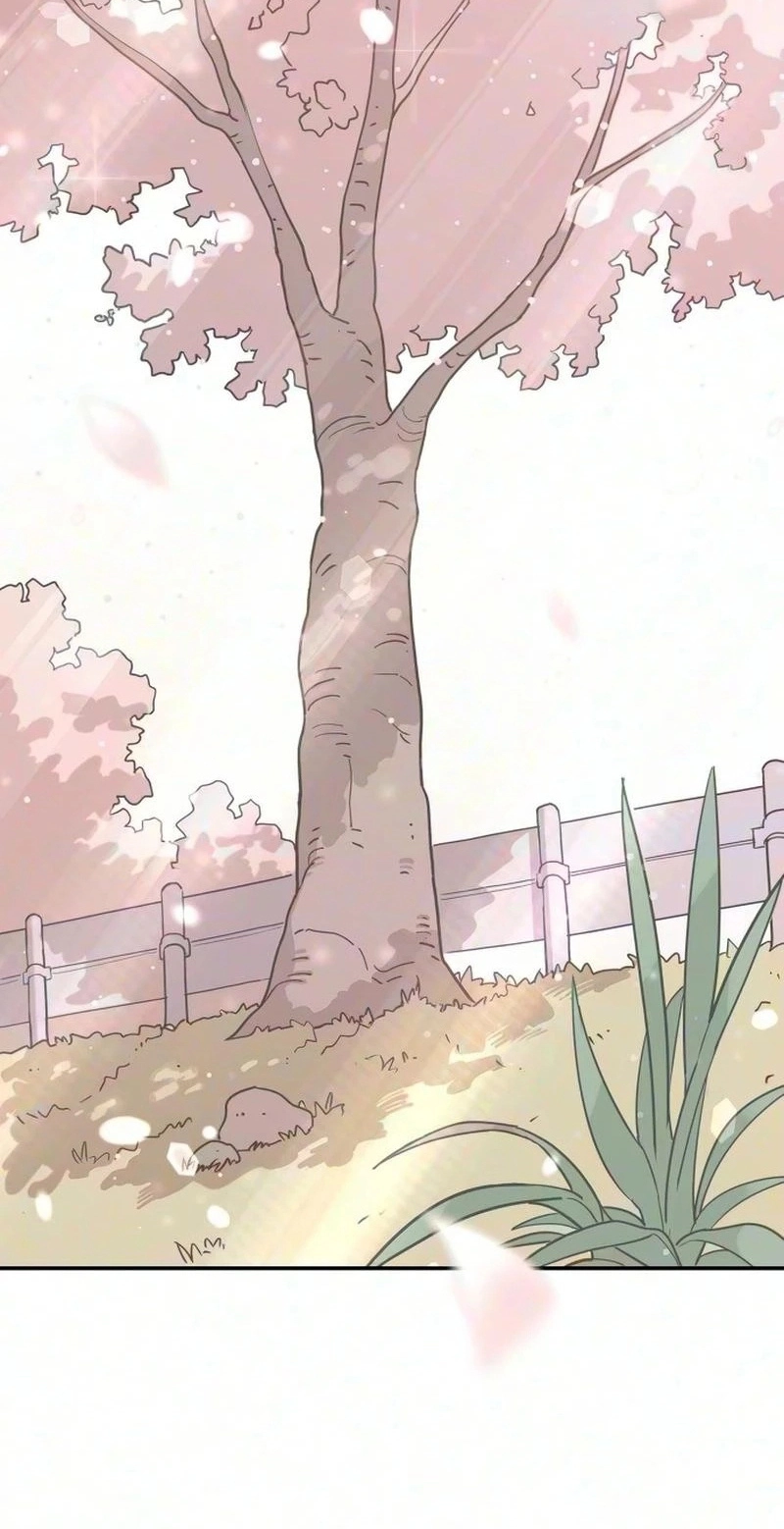 Read Aching Manhwa EN Manga Online