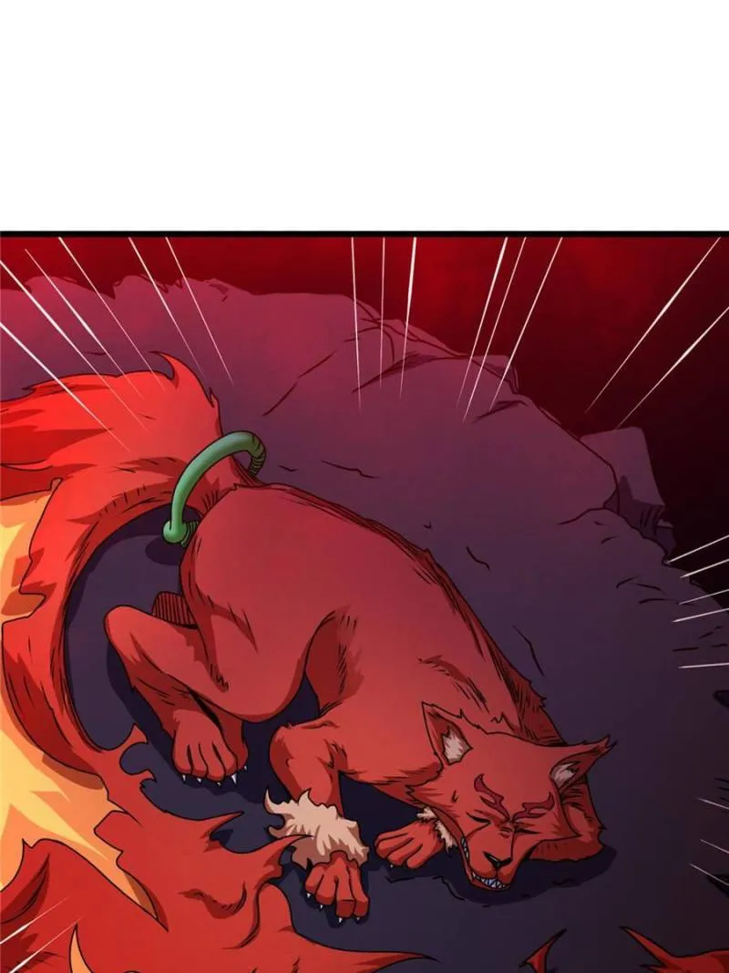 Read Astral Pet Store EN Manga Online