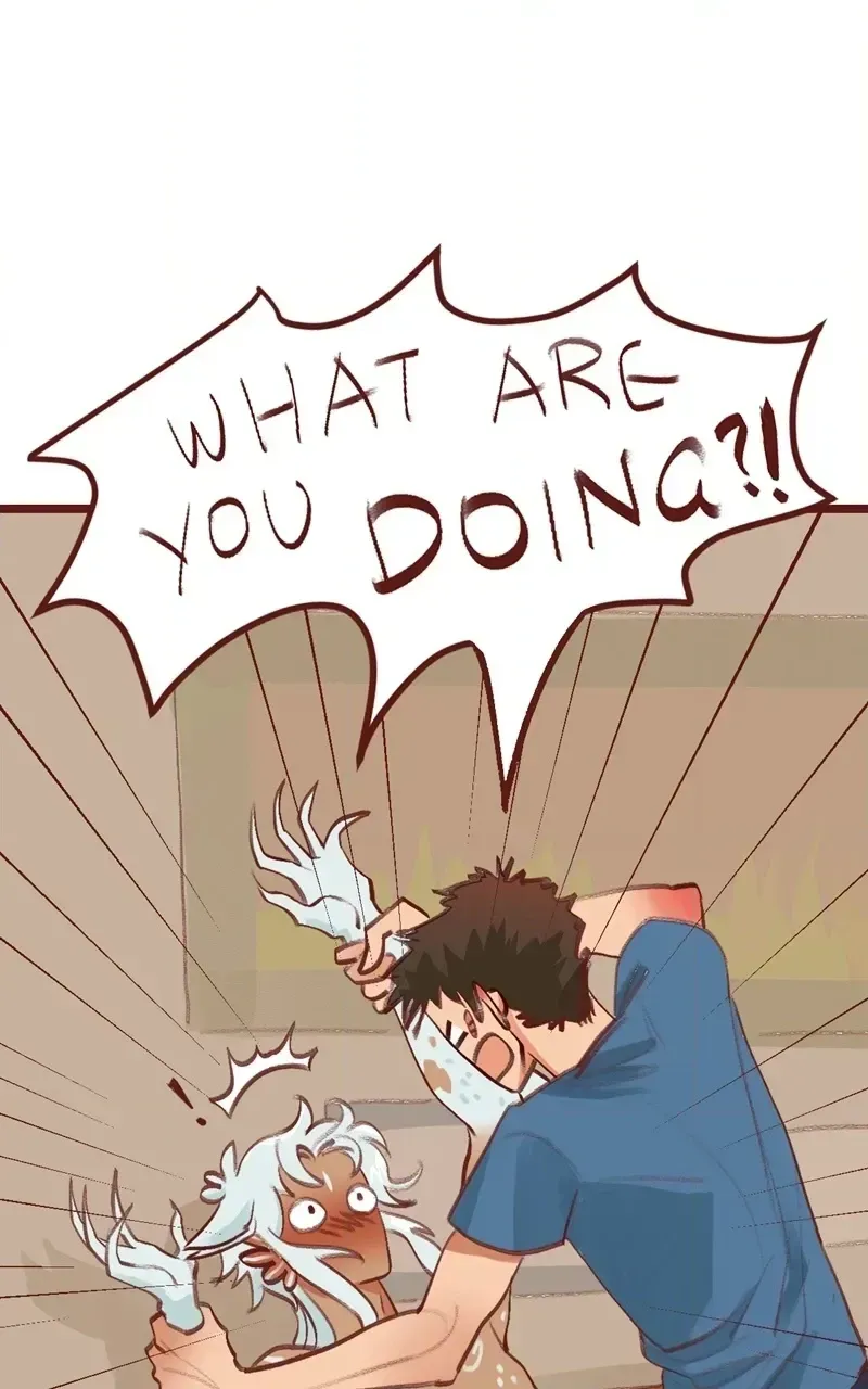 Read Bailin And Li Yun EN Manga Online