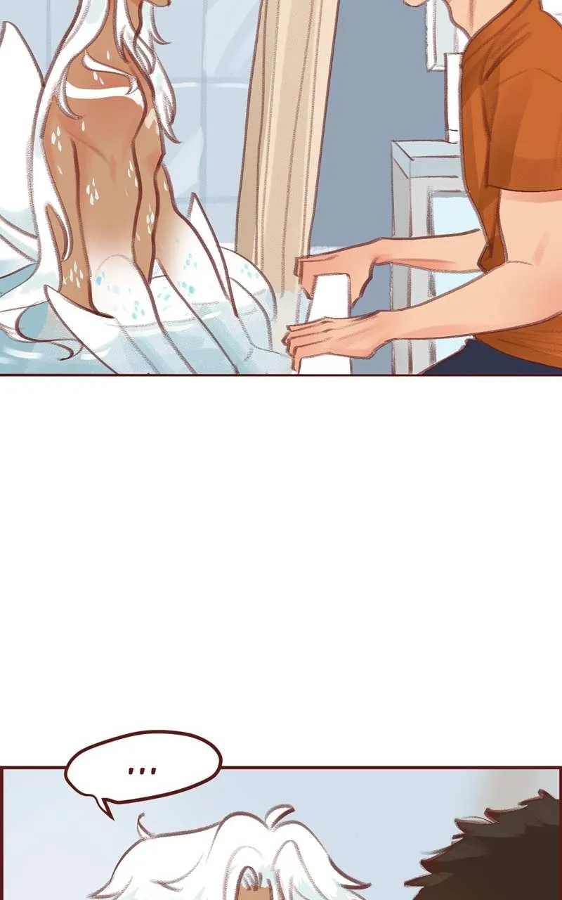 Read Bailin And Li Yun EN Manga Online