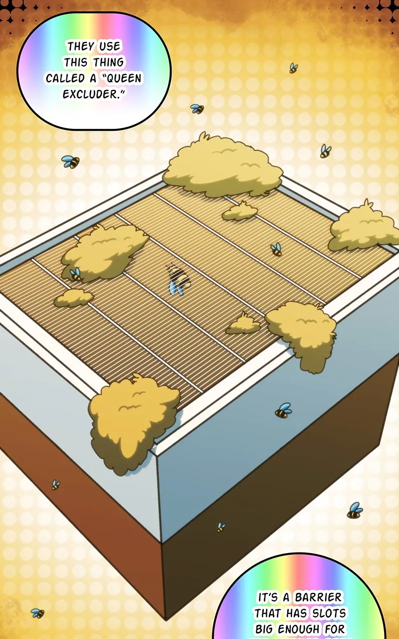 Read City of Blank EN Manga Online
