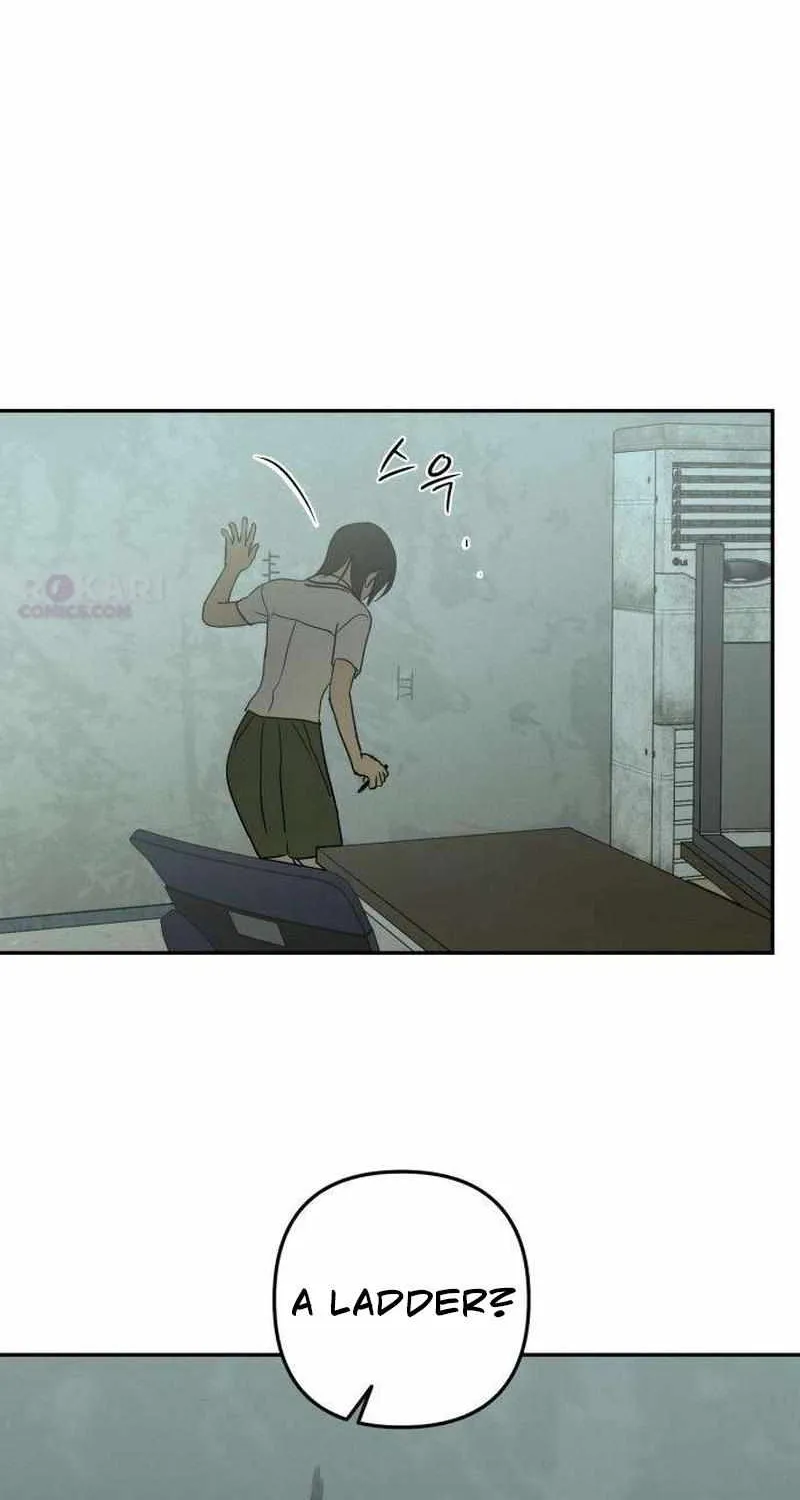 Read Daytime in the Bunker EN Manga Online
