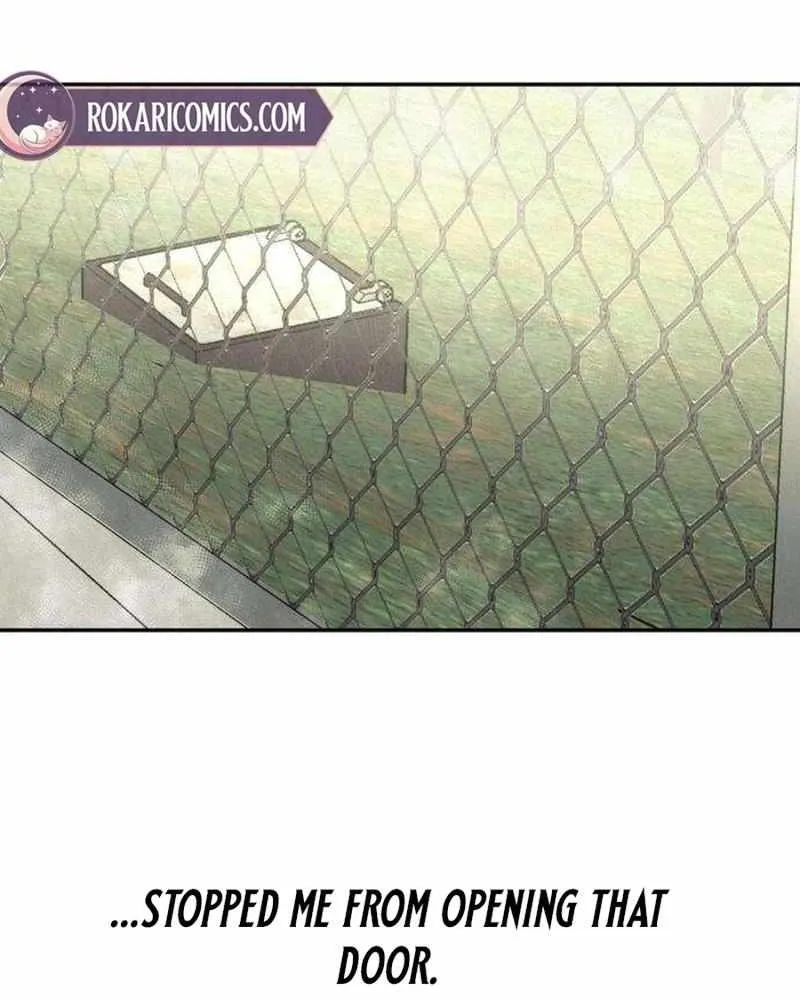 Read Daytime in the Bunker EN Manga Online