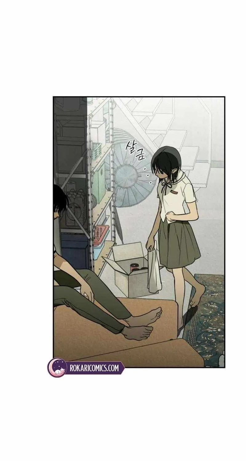 Read Daytime in the Bunker EN Manga Online