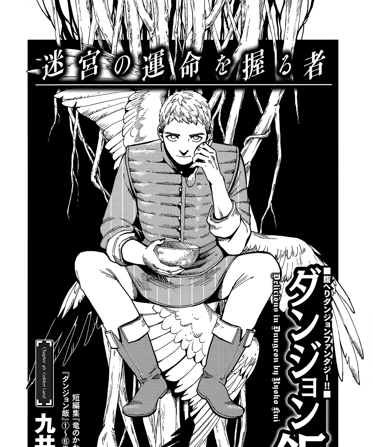 Read Dungeon Meshi EN Manga Online