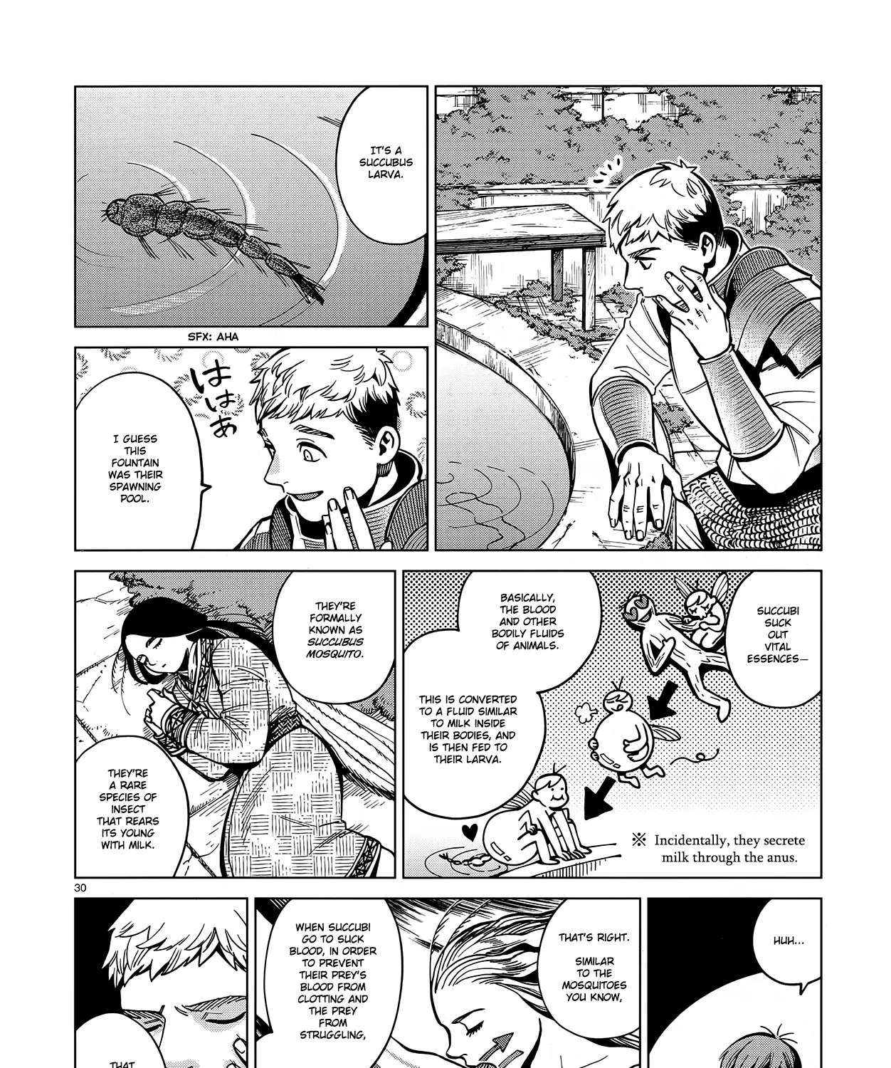 Read Dungeon Meshi EN Manga Online