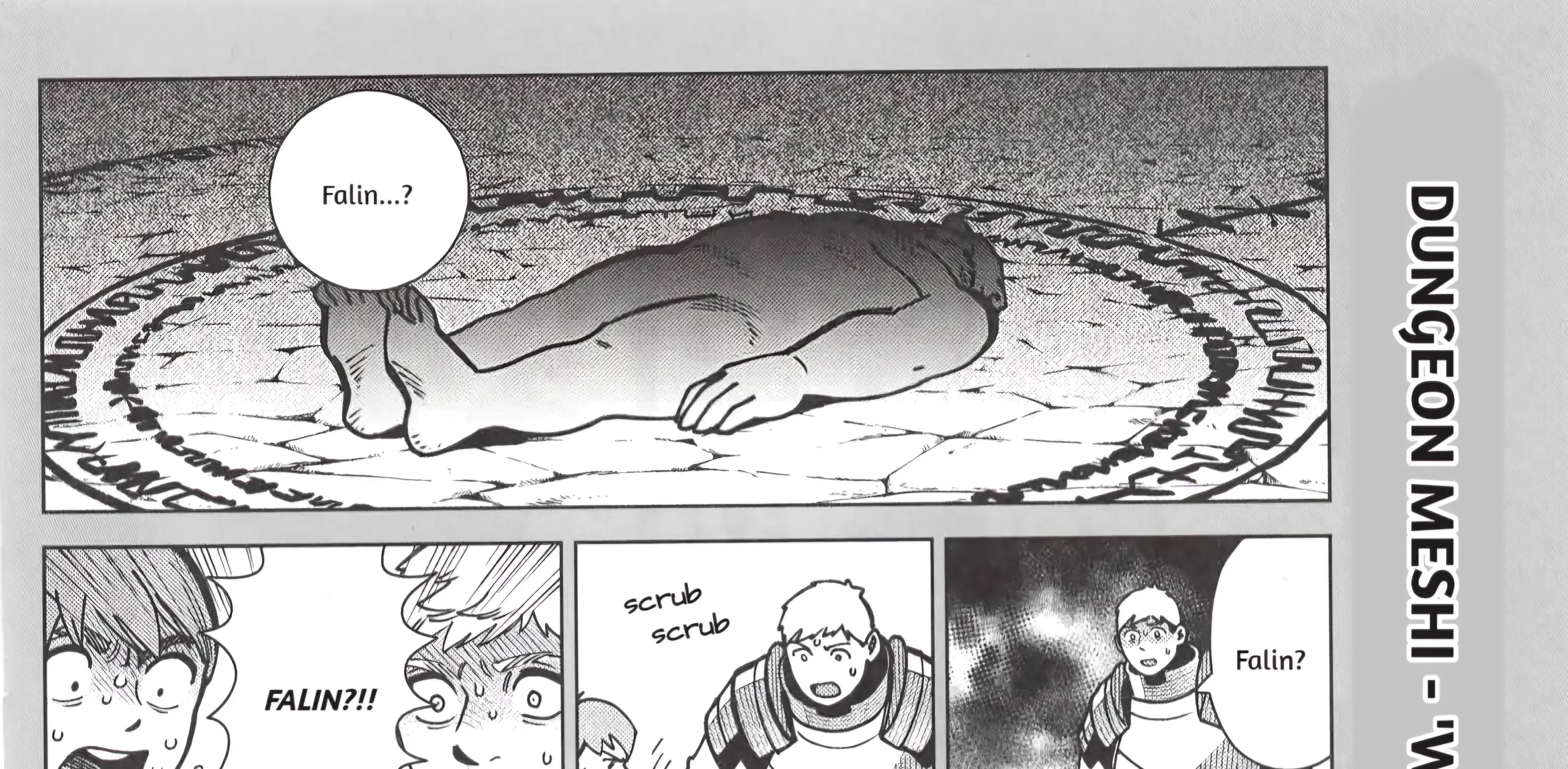 Read Dungeon Meshi EN Manga Online