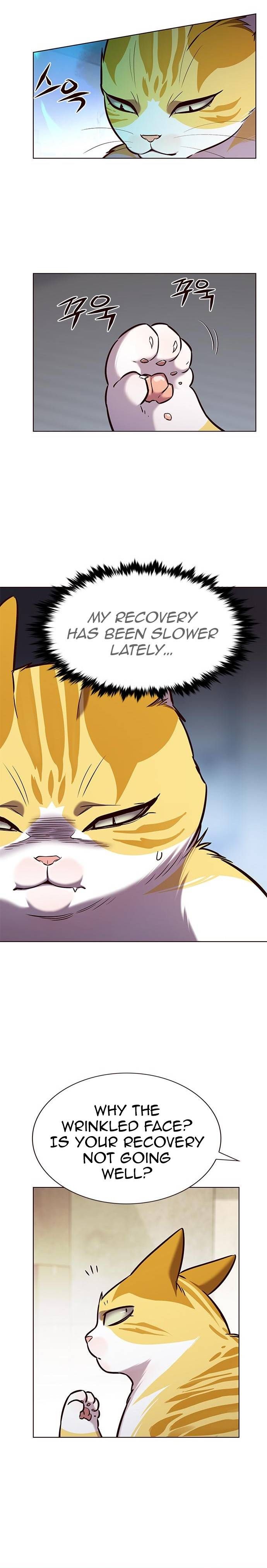 Read Eleceed EN Manga Online