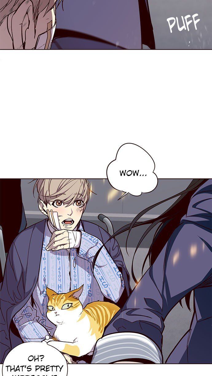 Read Eleceed EN Manga Online