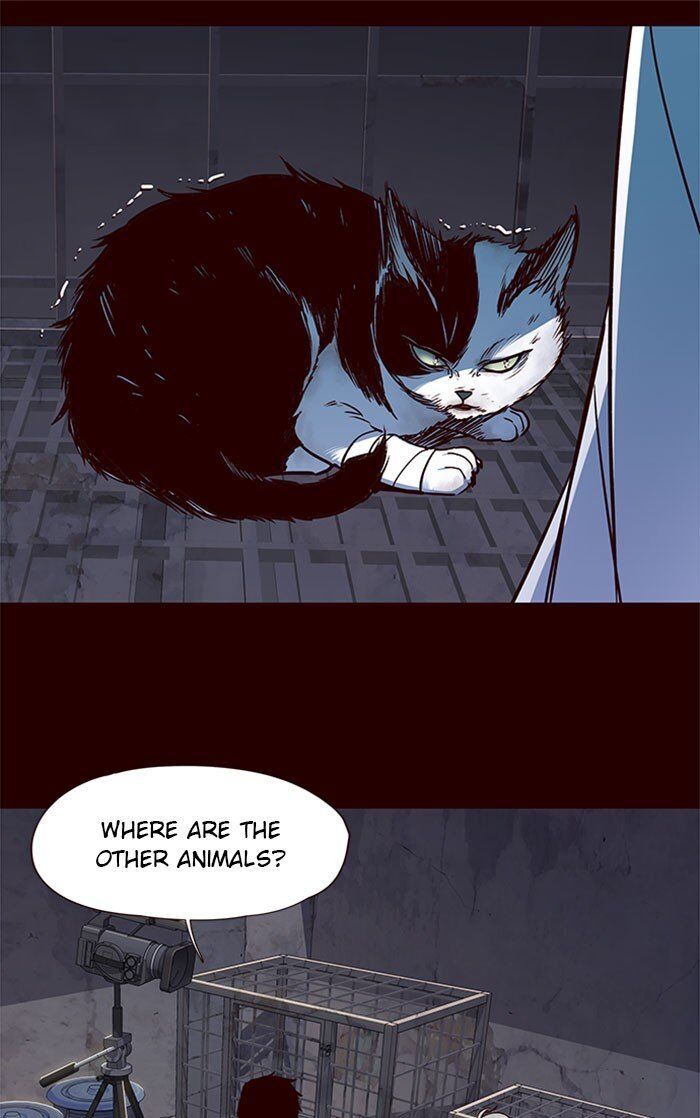 Read Eleceed EN Manga Online