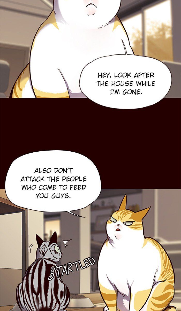 Read Eleceed EN Manga Online