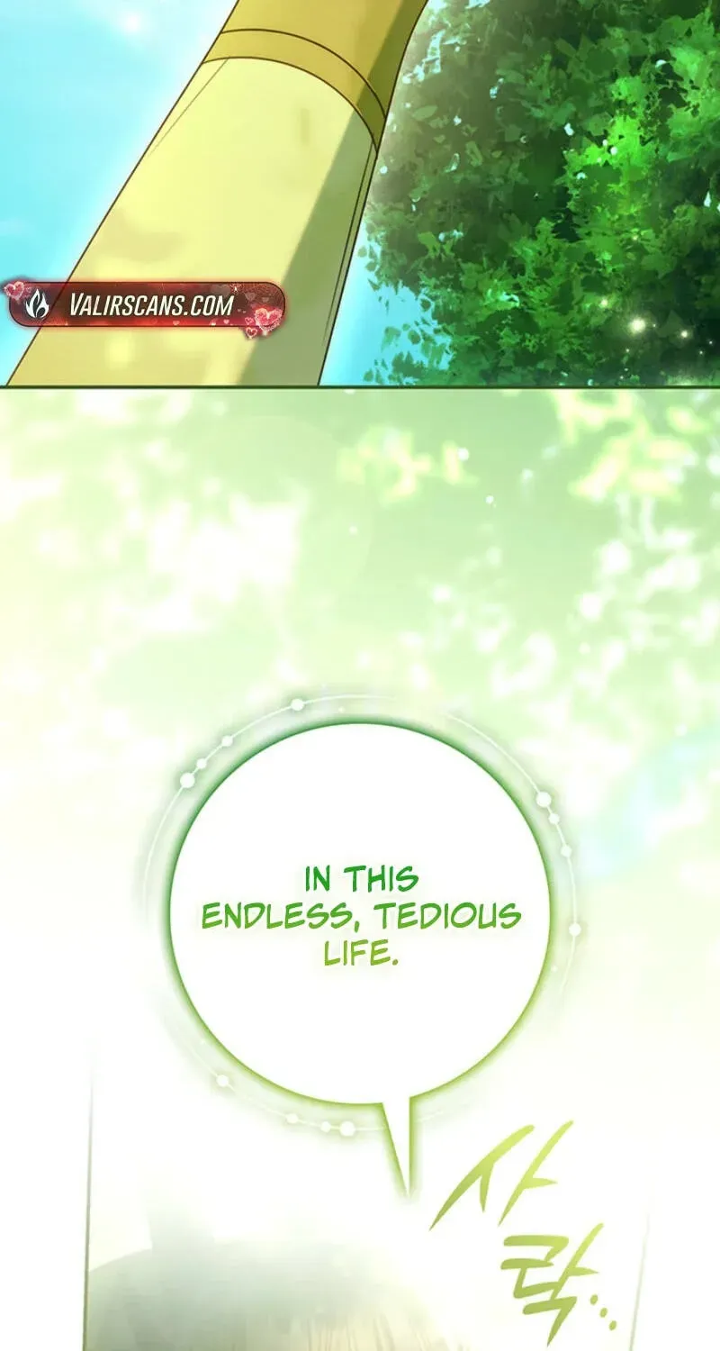 Read Father I Won’T Do Anything EN Manga Online