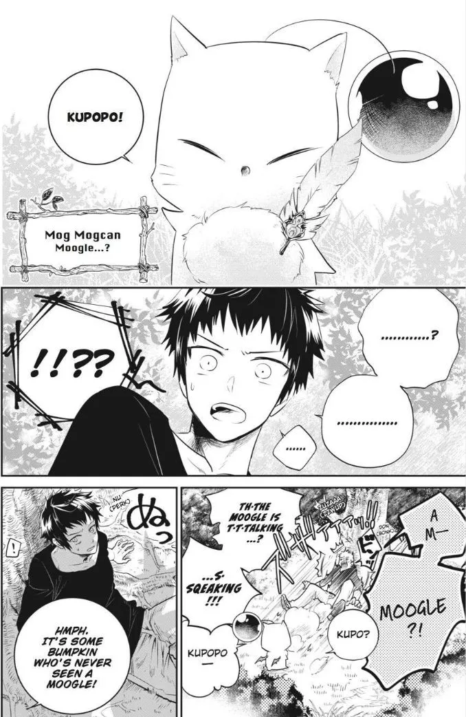 Read Final Fantasy Lost Stranger EN Manga Online