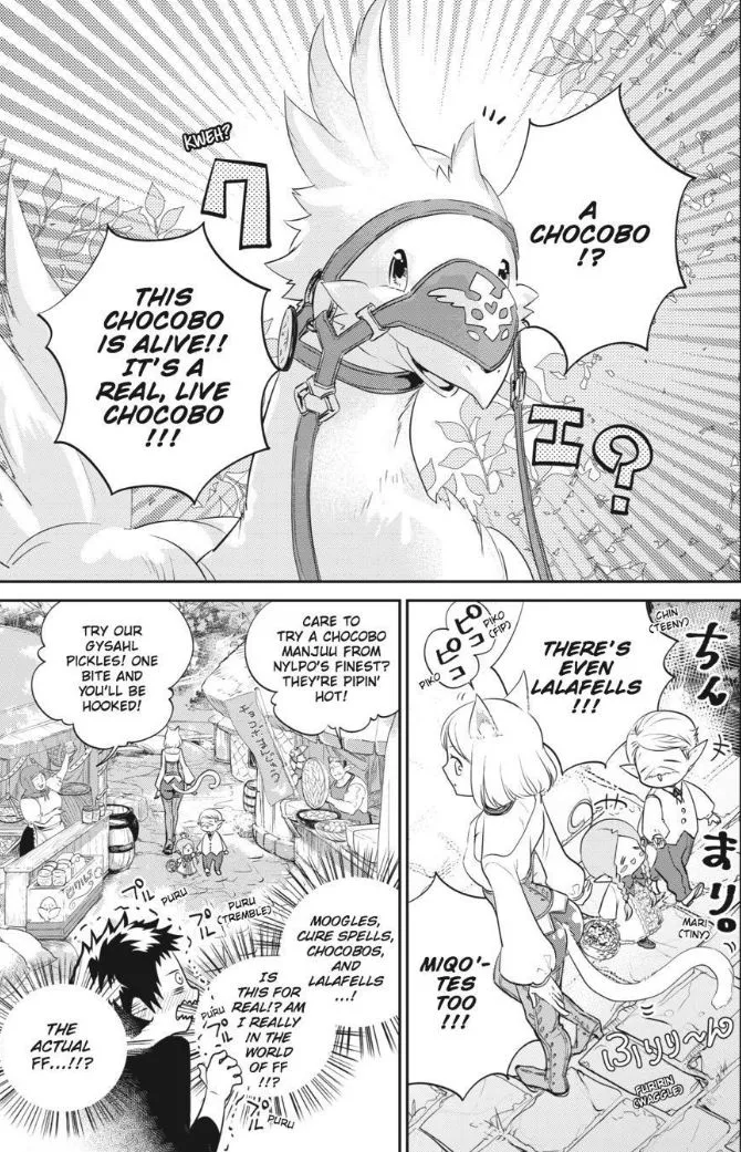 Read Final Fantasy Lost Stranger EN Manga Online