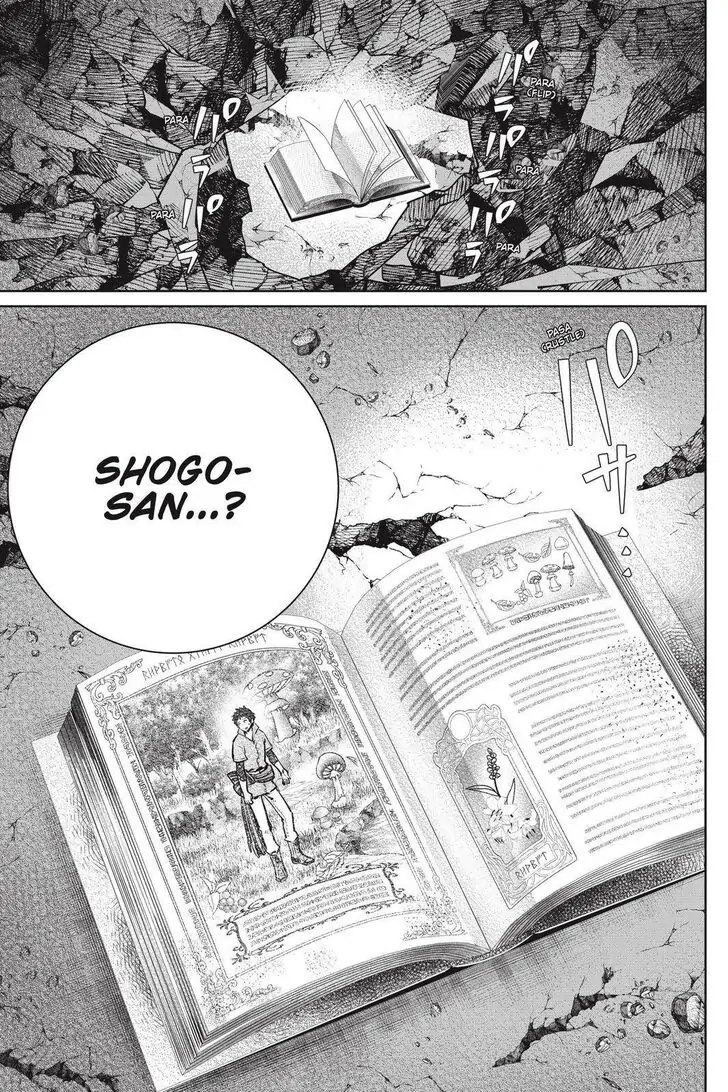Read Final Fantasy Lost Stranger EN Manga Online