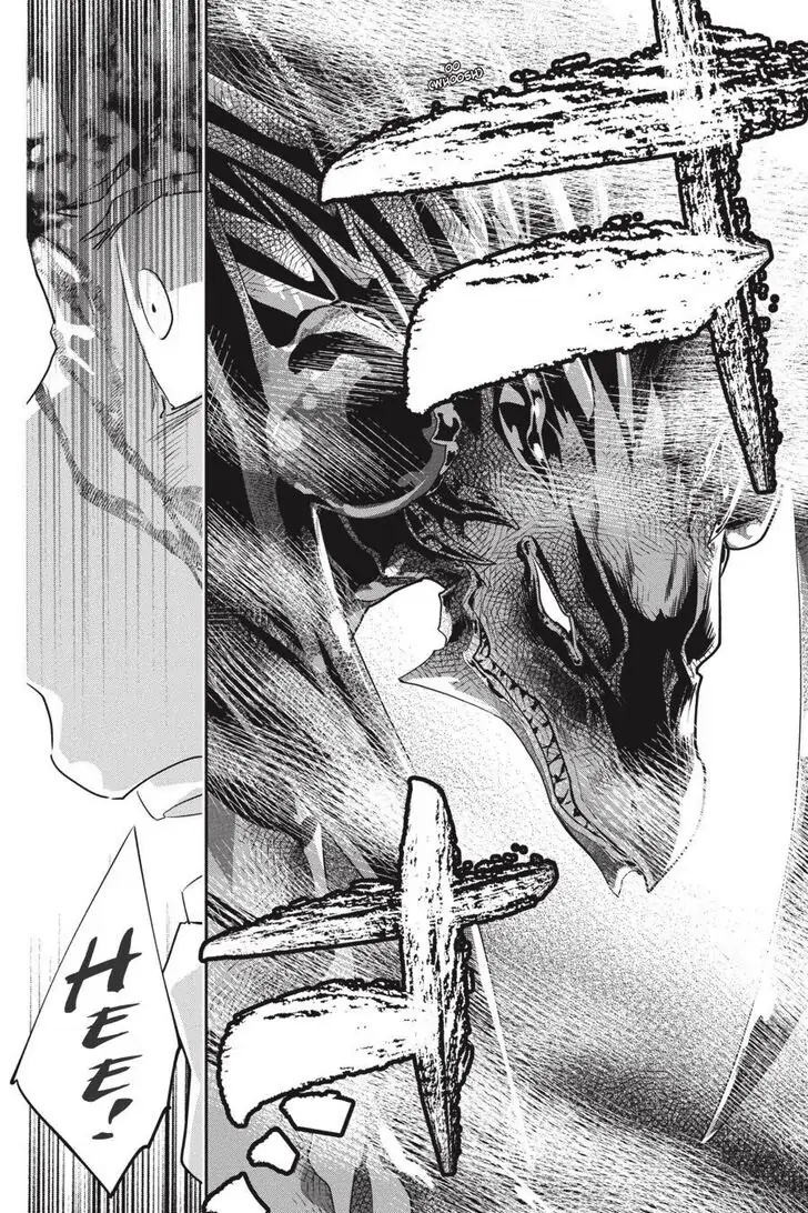 Read Final Fantasy Lost Stranger EN Manga Online