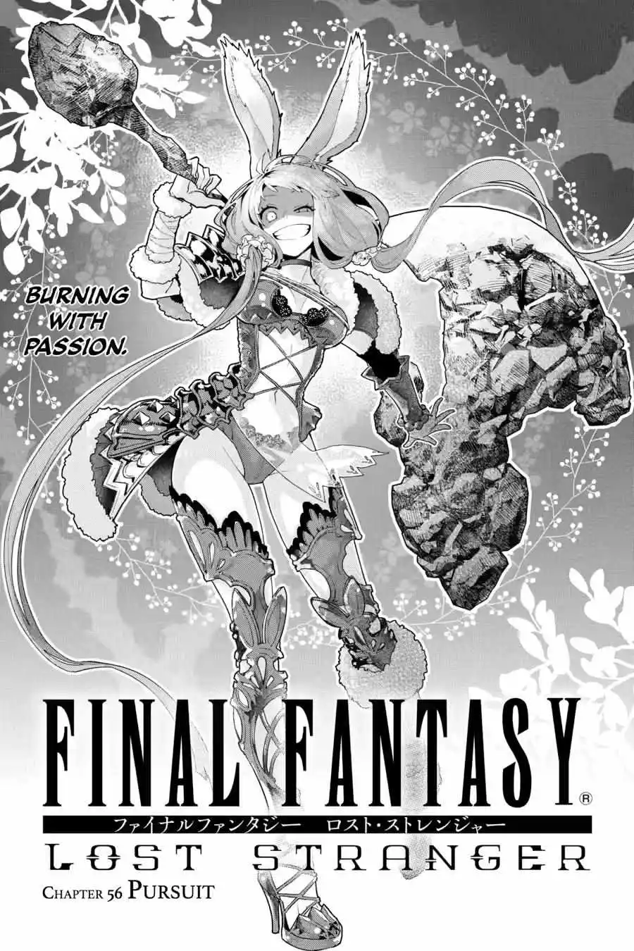 Read Final Fantasy Lost Stranger EN Manga Online