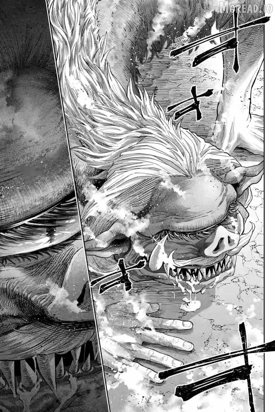 Read Final Fantasy Lost Stranger EN Manga Online