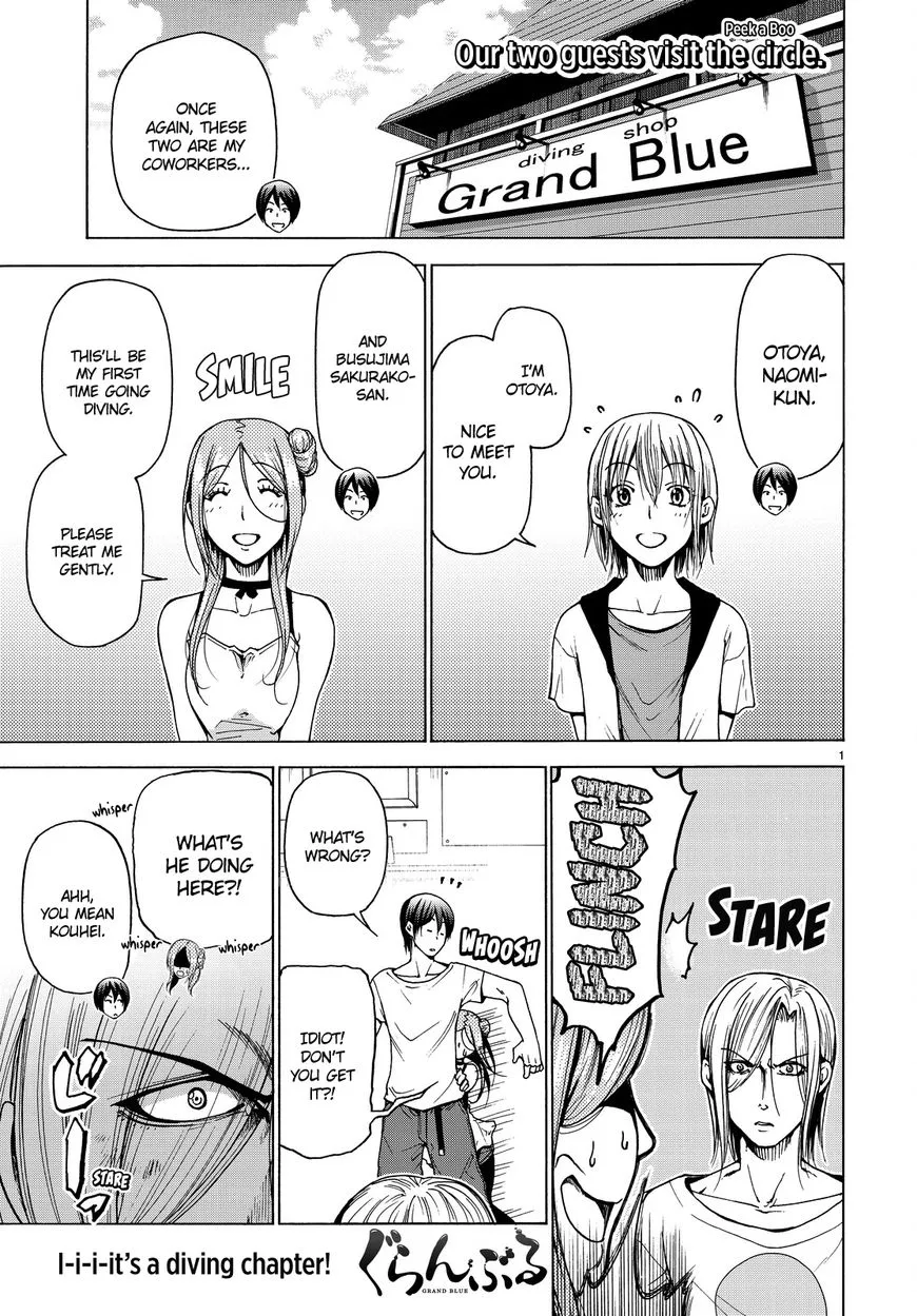 Read Grand Blue Dreaming EN Manga Online