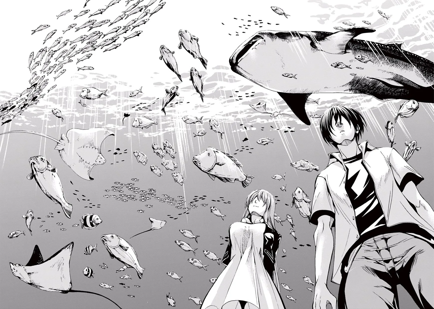 Read Grand Blue Dreaming EN Manga Online