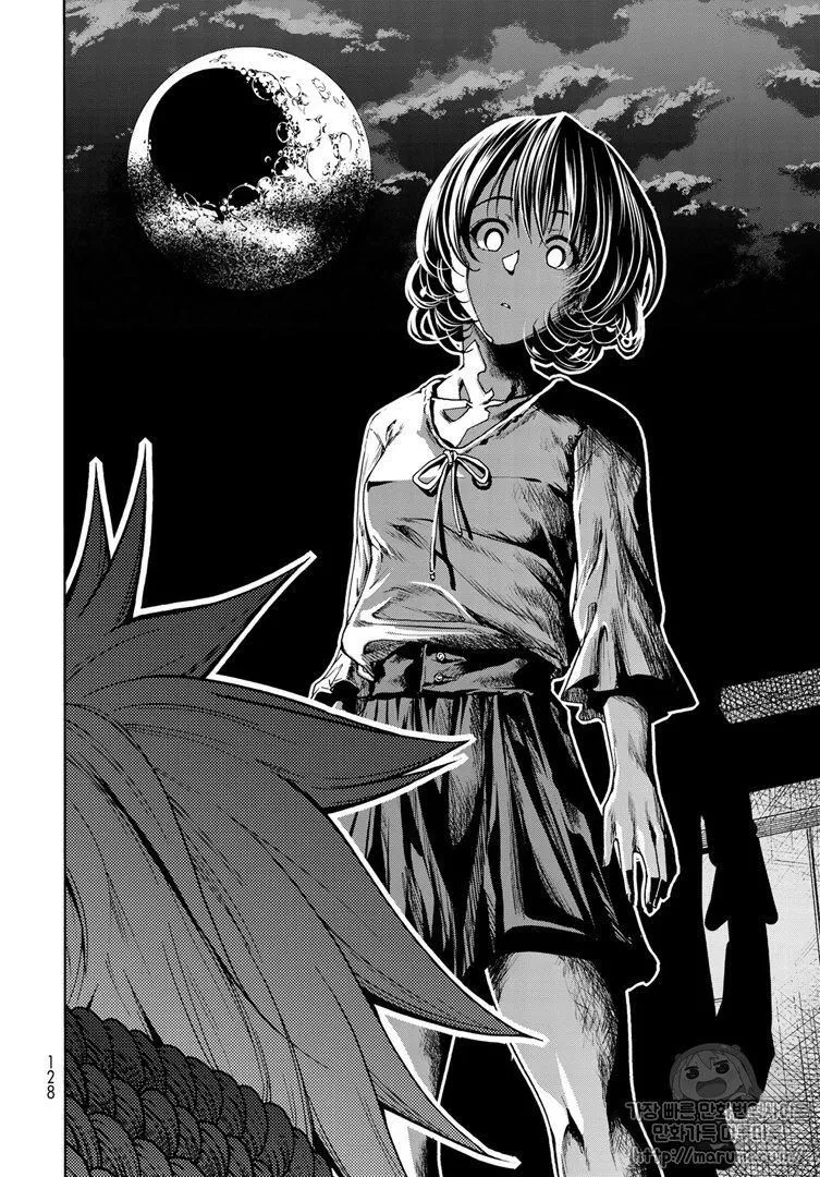 Read Grand Blue Dreaming EN Manga Online