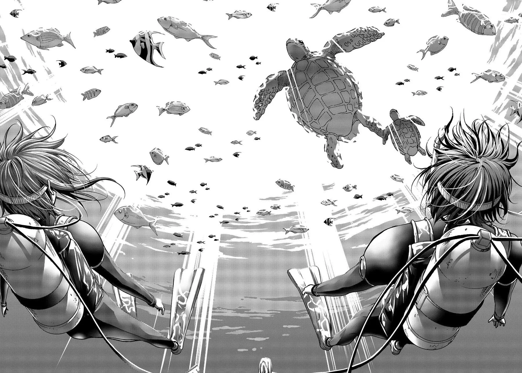 Read Grand Blue Dreaming EN Manga Online