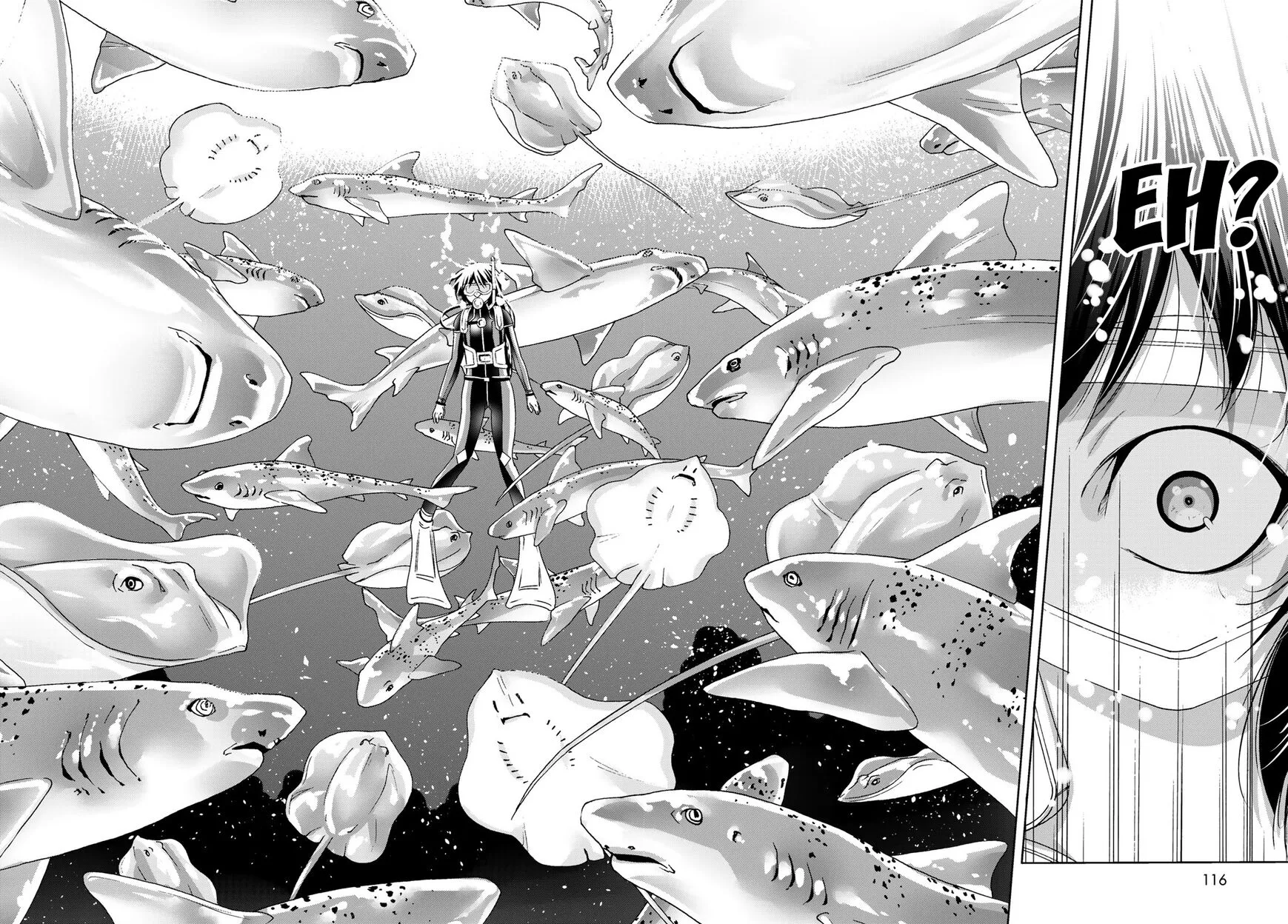 Read Grand Blue Dreaming EN Manga Online