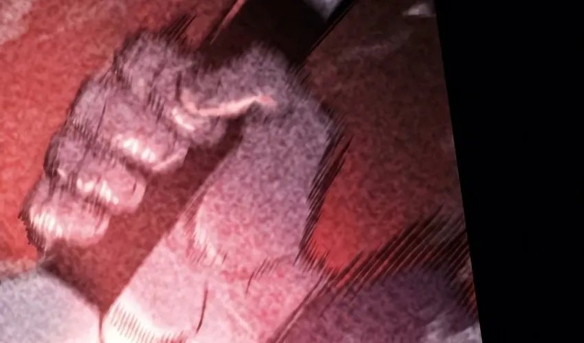 Read Hiding a Warehouse in the Apocalypse EN Manga Online