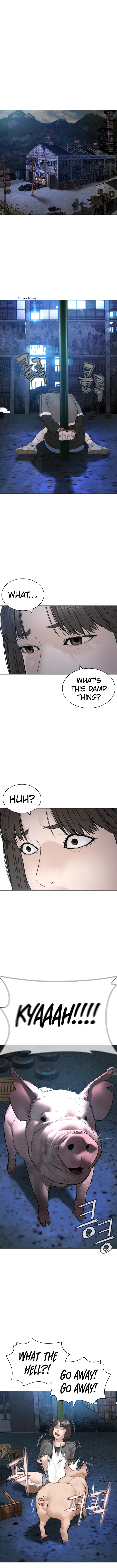 Read How To Fight EN Manga Online