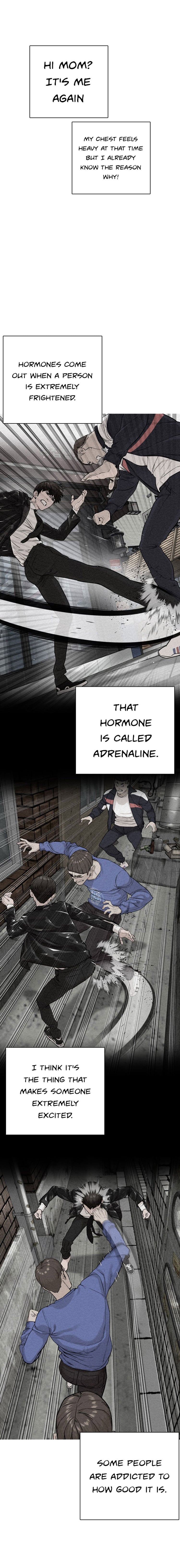 Read How To Fight EN Manga Online
