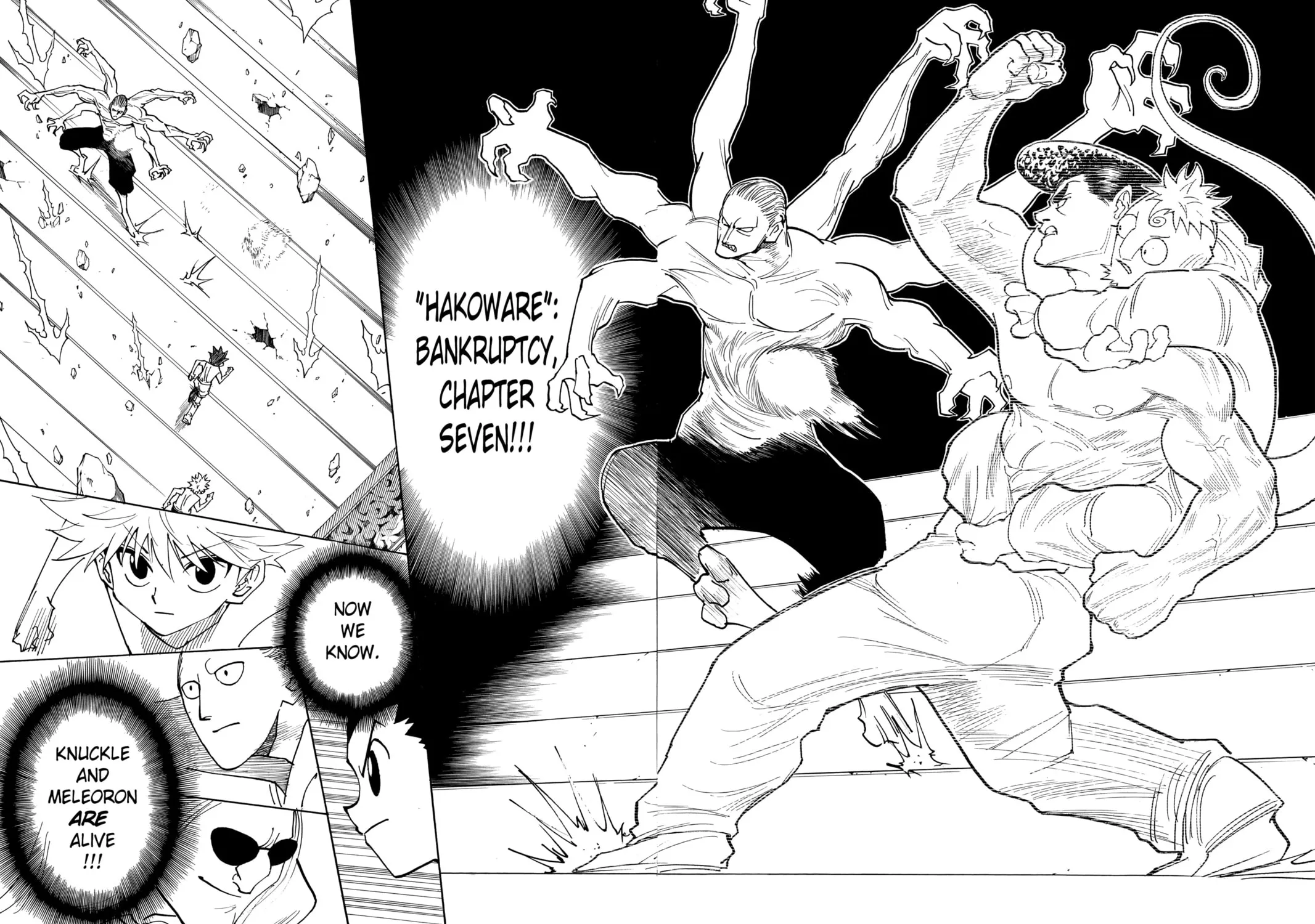 Read Hunter X Hunter EN Manga Online